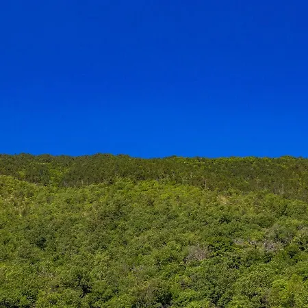 Pansion Betina Casa de hóspedes